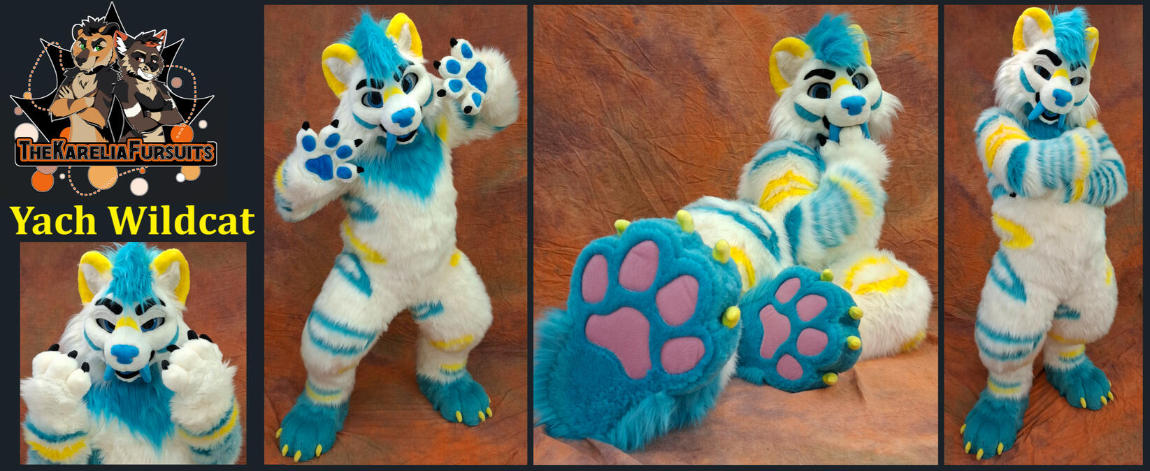 Yach Wildcat