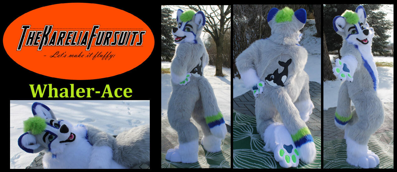 Whaler-Ace