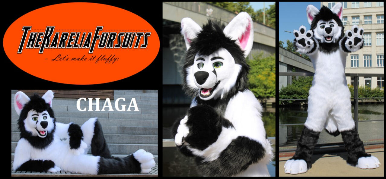 Chaga