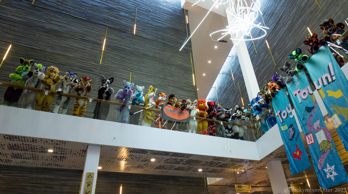 NFC 2023 - Picture by Blackymoon Otter