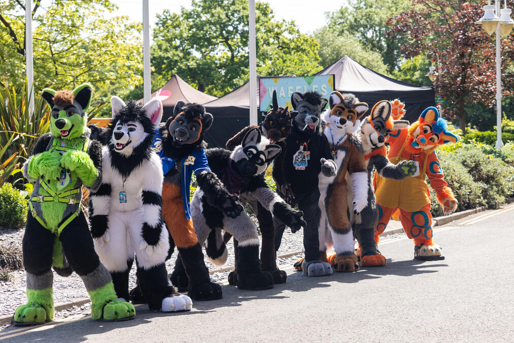 Confuzzled 2023 - Picture by Crofty Raccoon