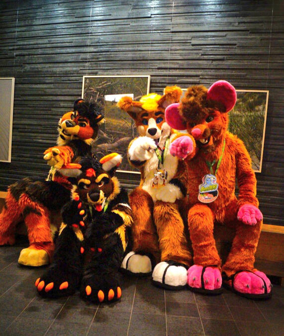 NFC 2024 - Picture by Warius