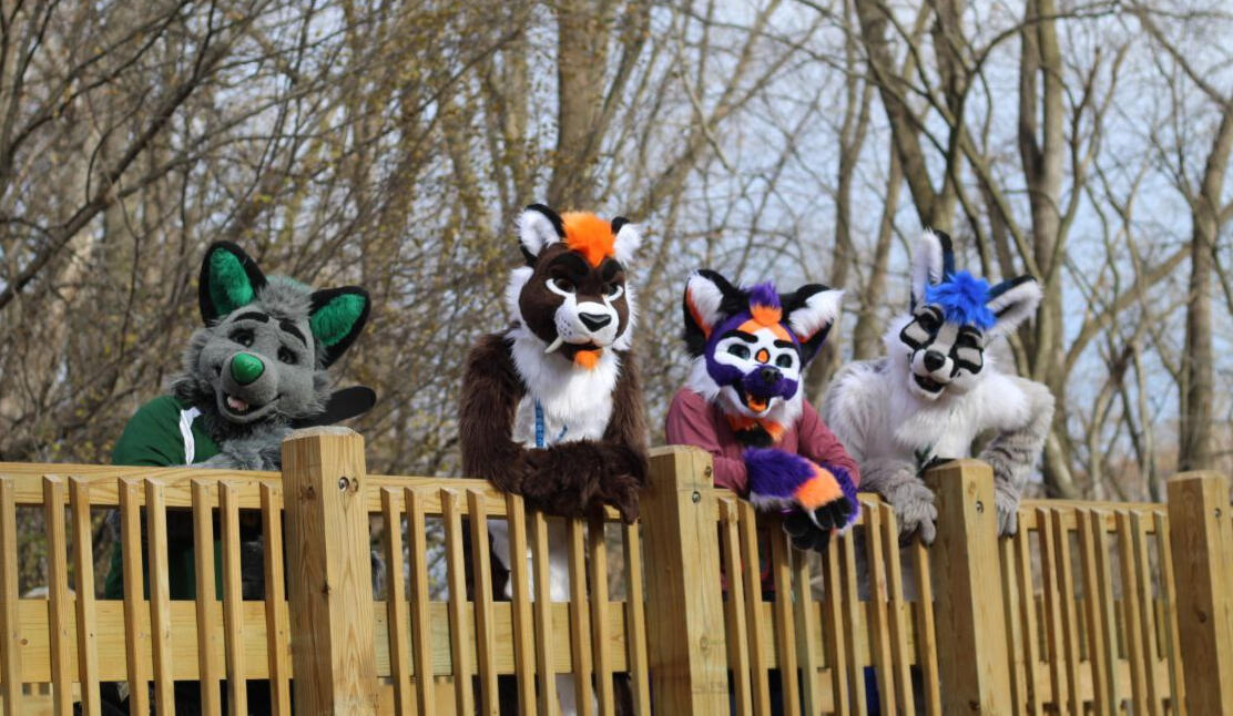 MFF 2021 - Picture by Ox the Fox