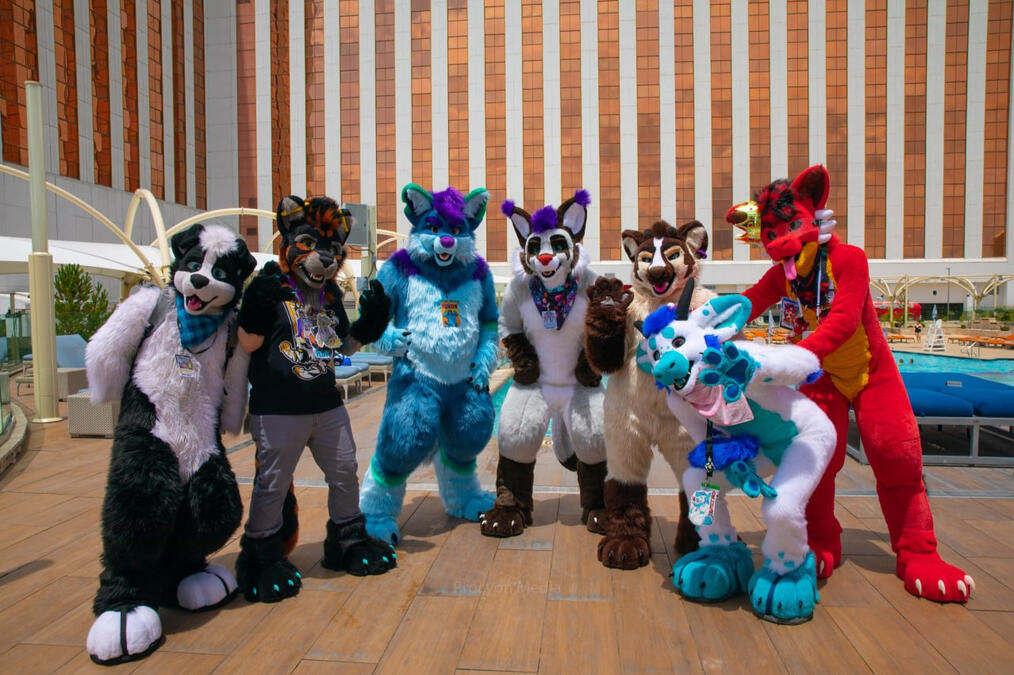 BLFC 2022 - Picture by Quinnton