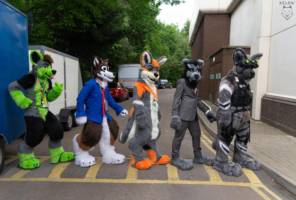 Confuzzled 2019 - Picture by Xelon