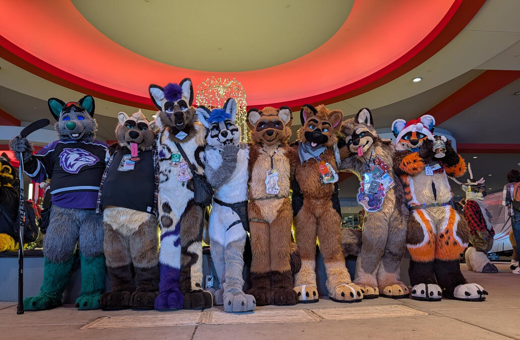 MFF 2025 - Picture by Kruger's Wife