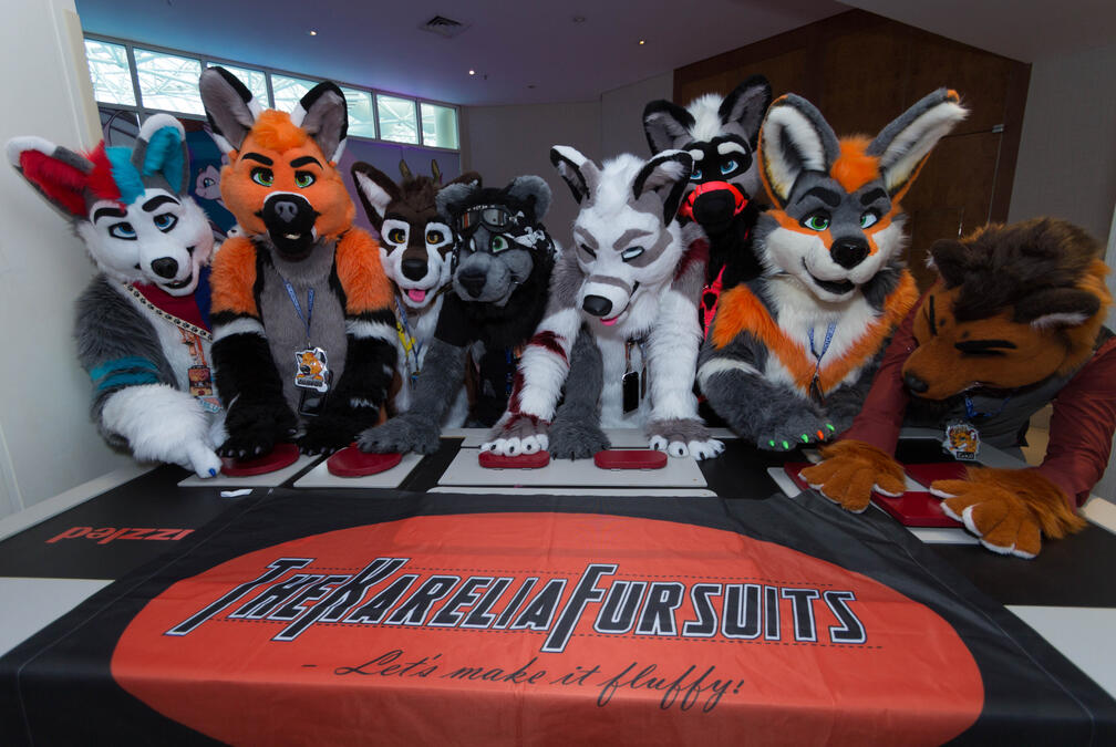 Confuzzled 2018 - Picture by Xelon