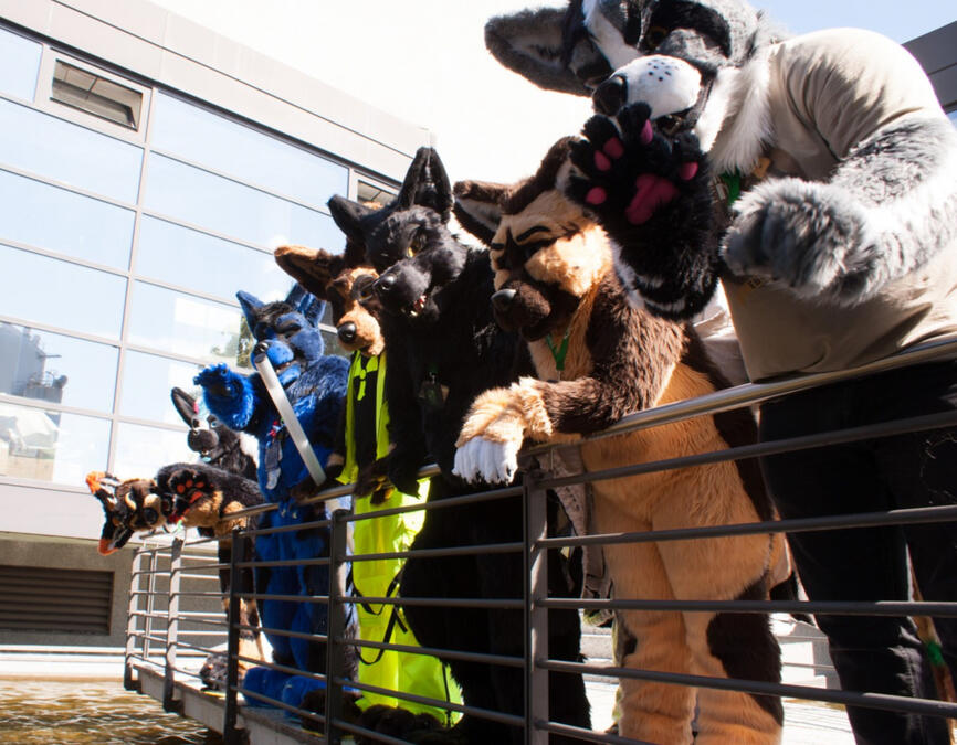 EF22 2016 - Picture by Blackymoon Otter