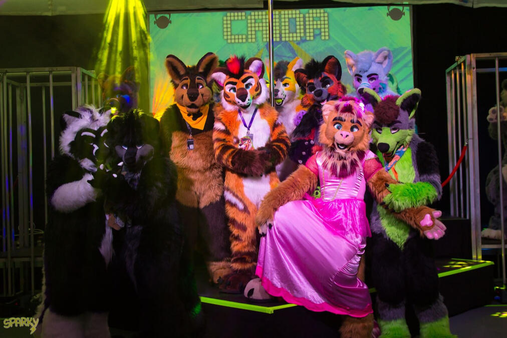 2Dance 2024 - Picture by Sparky